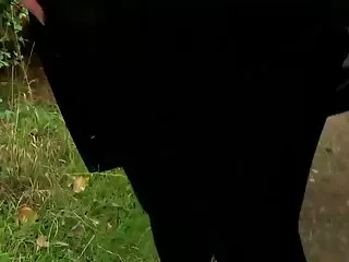 Botas